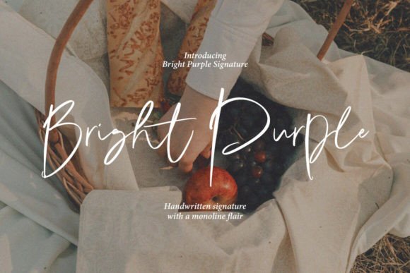 Bright Purple Font for Modern Design