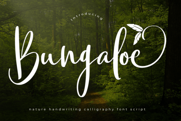 Bungaloe Font for Creative Projects